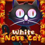 White Nose Cat 150x150